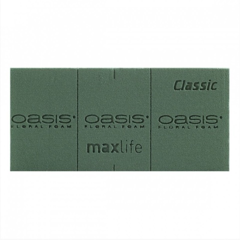 CLASSIC Maxlife Gąbka florystyczna | OASIS®