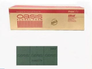 IDEAL Maxlife Gąbka florystyczna | OASIS®