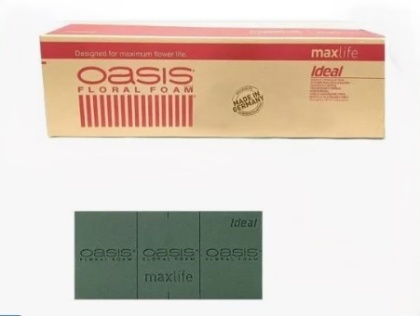 IDEAL Maxlife Gąbka florystyczna | OASIS®