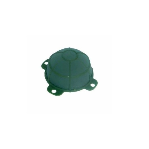 TURTLE MINI | Victoria®