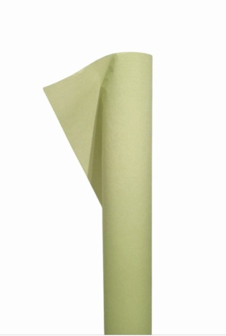 BIBUŁA JASNA ZIELEŃ 8 M