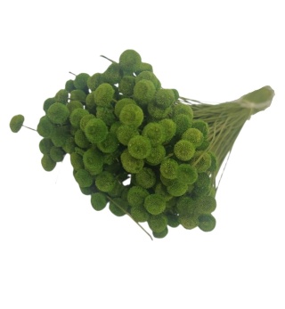 Botao (gombíky) – 100 g, farba: zelená