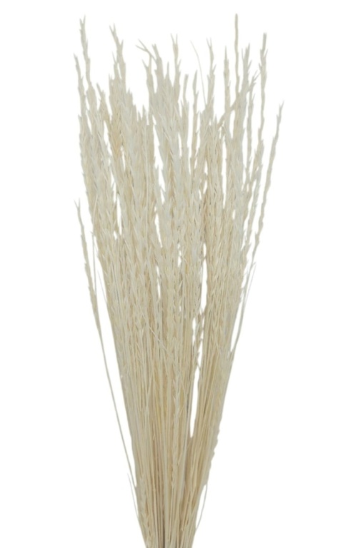 Seghetta – 100 g, farba: bielená
