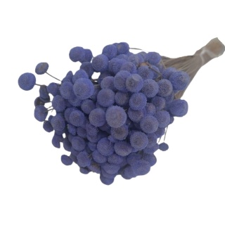 Botao (gombíky) – 100 g, farba: fialová