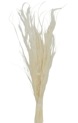 Stipa pennata 50g bielony