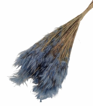 Pluminha Grass 100g lawenda