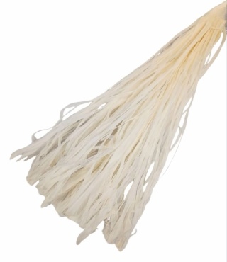 Raffia scheletrina 100g bielony