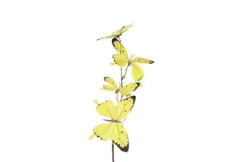 Vetvička s motýľmi – 80 cm, žltá