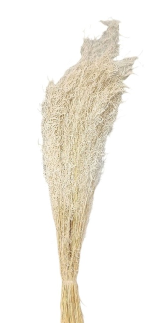 Briza segromingo 100g bielony