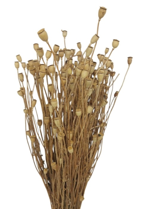 Popavrino 100g natura