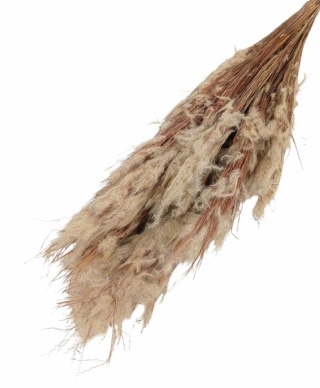 Pluminha Grass 100g natura