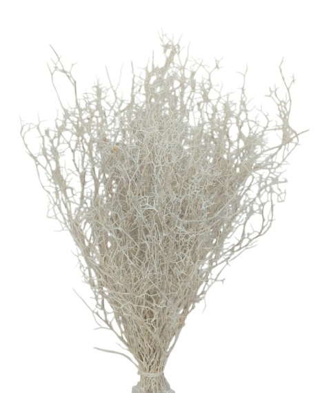 Nidi d'ape 100g bielony