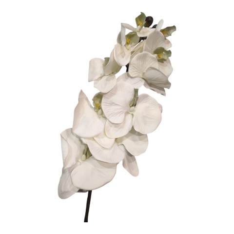 Orchidea – 90 cm, biela