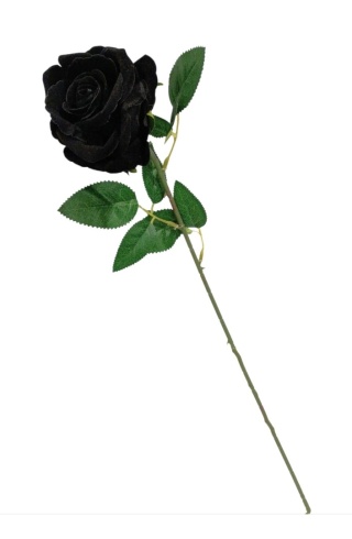 Róża gałązkowa welur - czarna /12