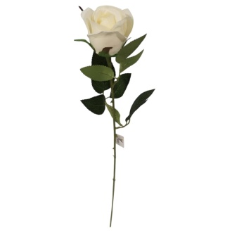 Róża gałązkowa 60cm - krem