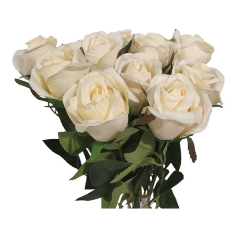 Róża gałązkowa 60cm - krem