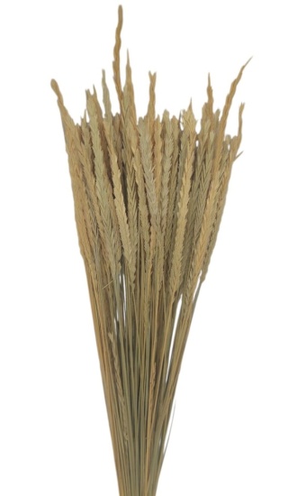 Seghetta – 100 g, farba: prírodná