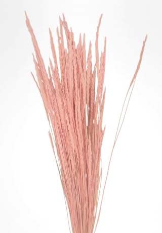 Seghetta – 100 g, farba: ružová