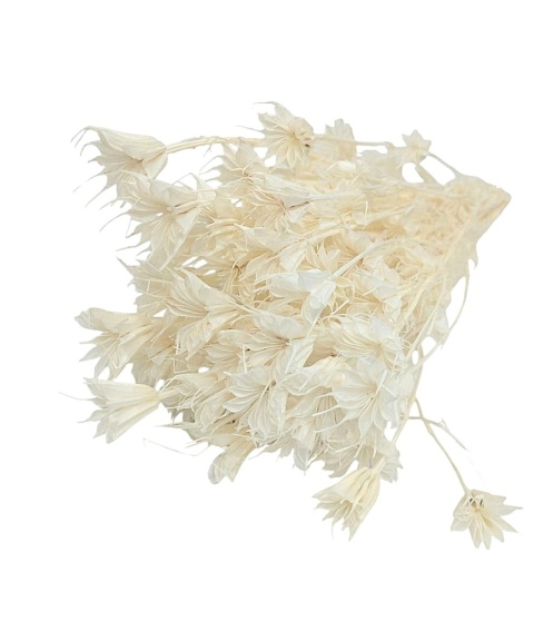 Czarnuszka orientalna Nigella orientalis – 100 g, kolor: bielony