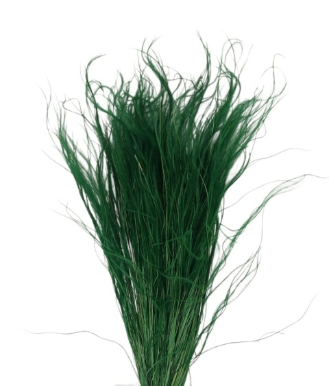 Stipa pennata 50g zielony
