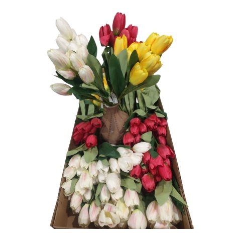 Tulipan Bukiet Mix