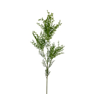 Asparagus roślina sztuczna - 95cm