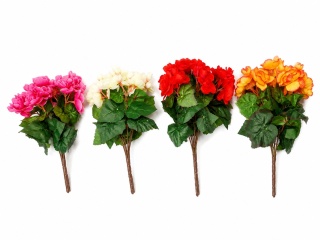 Begonia - bukiet, 30cm, mix kolorów (karon)