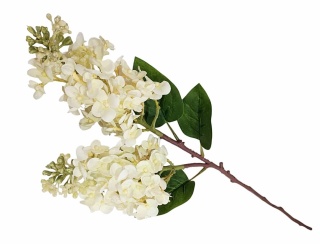 Bez – 68 cm, lilak, biel