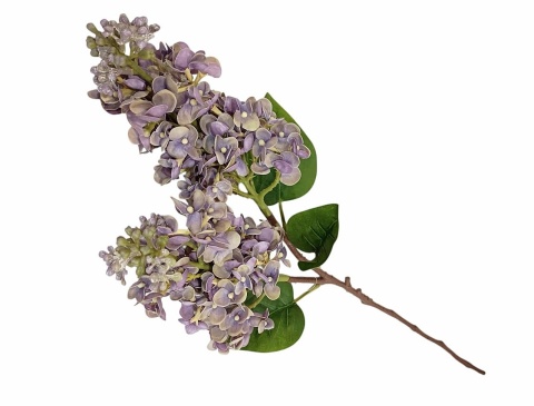 Bez – 68 cm, lilak, fiolet