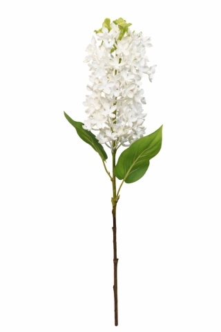 Bez gałązkowy – biel 55 cm