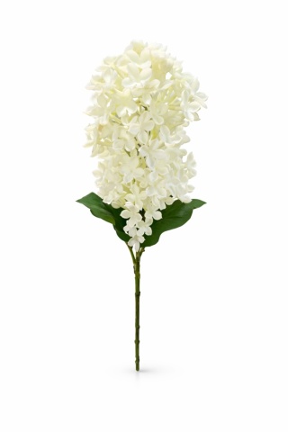 Bez gałązkowy (gumowy) – 55cm, krem