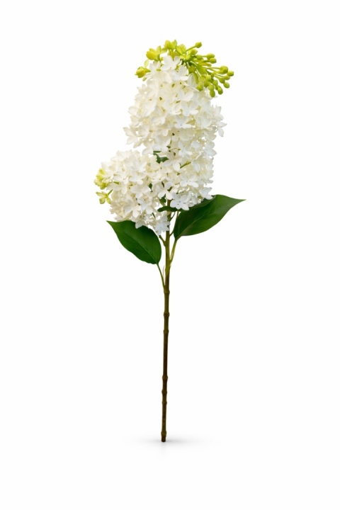 Bez gałązkowy (gumowy) – 65cm, krem