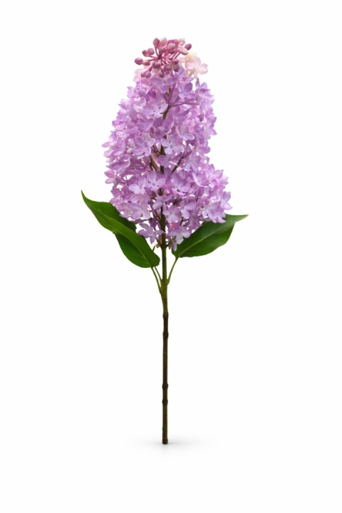 Bez vetvičky (guma) 65 cm, levanduľa