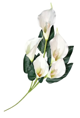 Calla gałązkowa 82 cm