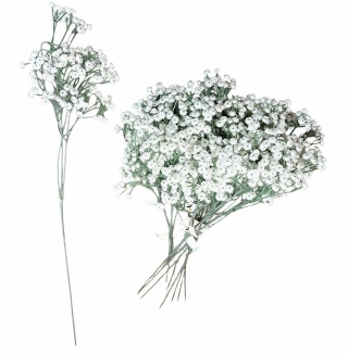 Gipsówka pojedyńcza 66 cm