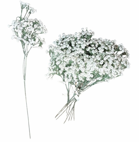 Gipsówka pojedyńcza 66 cm