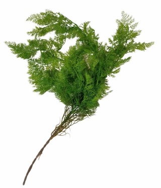 Girlanda paprotka 88 cm