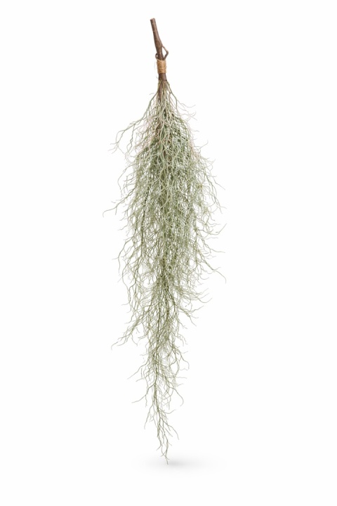 Hiszpański mech - 100cm, zielony