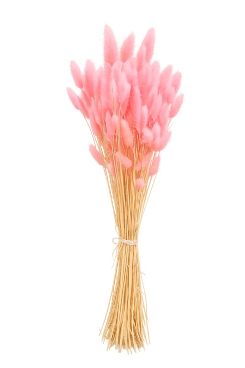 Lagurus 100g rosa