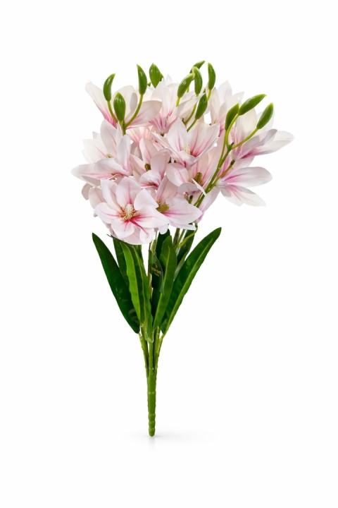 Lilia bukiet - 55cm, biel z delikatnym różem