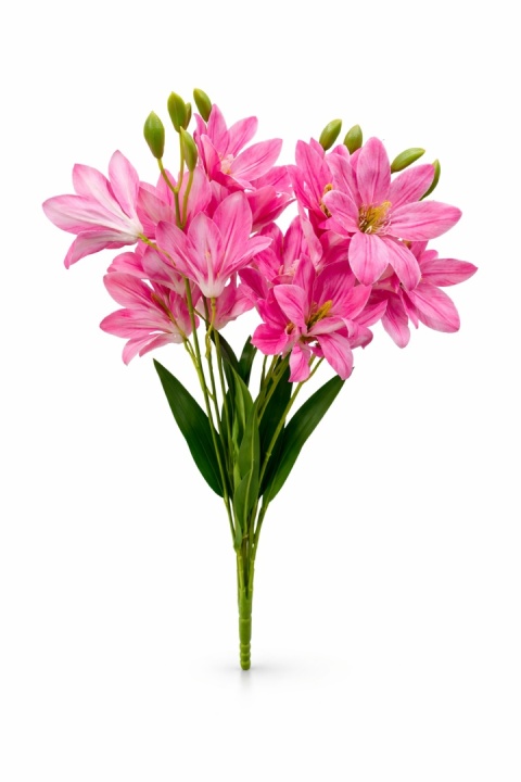 Lilia bukiet - 55cm, róż