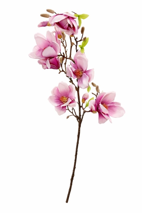 Magnolia 115 cm – różowa