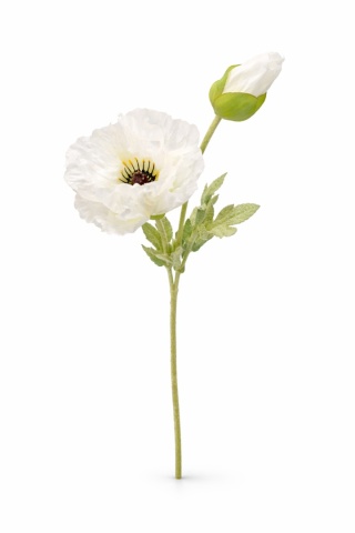 Mak gałązka - 75cm, biały