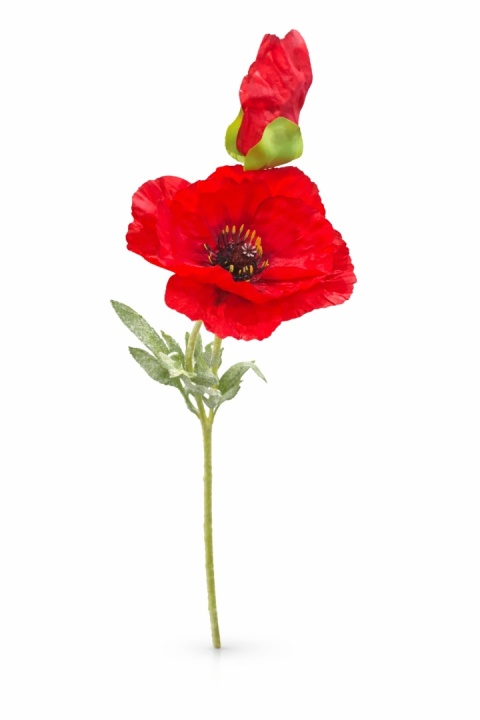 Mak větvička - 75cm, červená