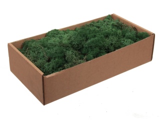 Mech chrobotek reniferowy, 500g, ciemna zieleń