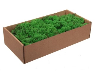 Mech chrobotek reniferowy, 500g, zielony