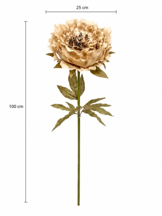 Piwonia - 100cm x 25cm, beżowy