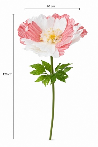 Piwonia - 120cm x 40cm, krem i czerwony