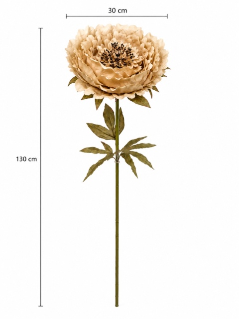 Piwonia - 130cm x 30cm, beżowy