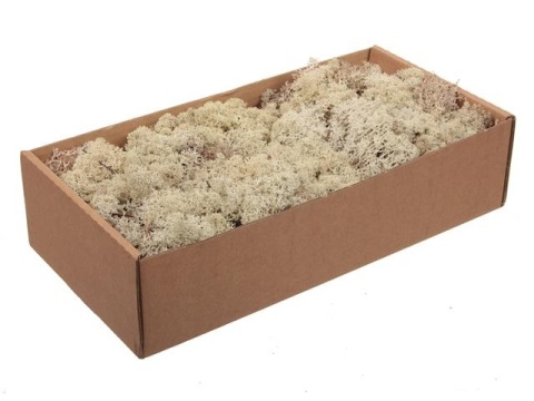 Mech chrobotek reniferowy, 500g, szary